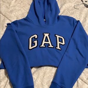 Gap hoodie (cropped)